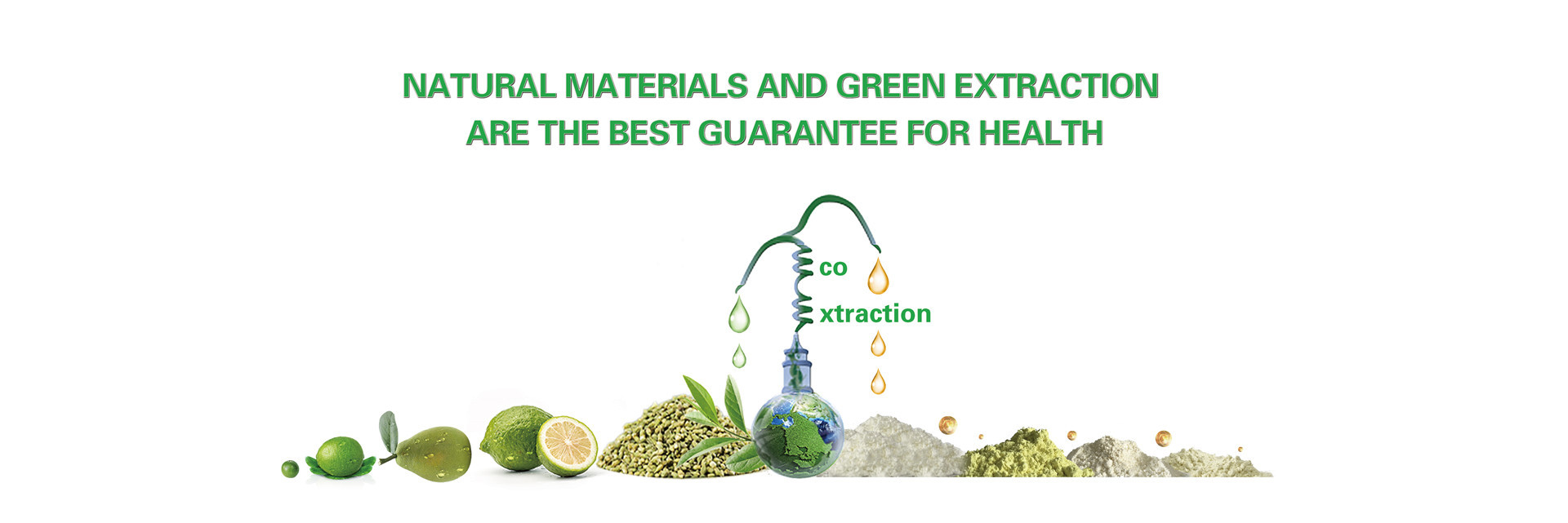 qualité poudre d'extrait d'agrume usine