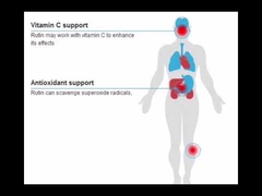 Poudre cristalline de rutine 25Kg/Drum pour suppléments nutritionnels