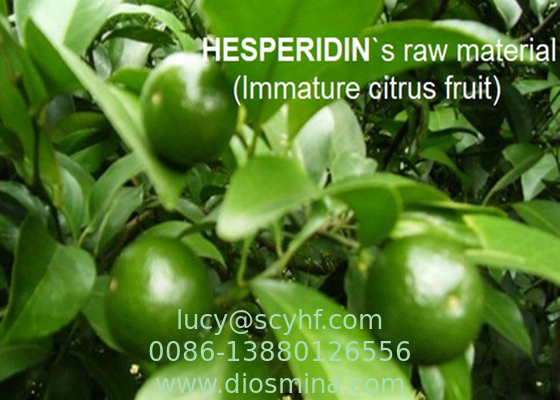 quality L'hespéridine d'extrait de citrus sinensis saupoudrent 85.0%-97.0% par CLHP pour pharmaceutique et des suppléments factory